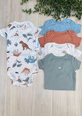 Set Dinosaurios