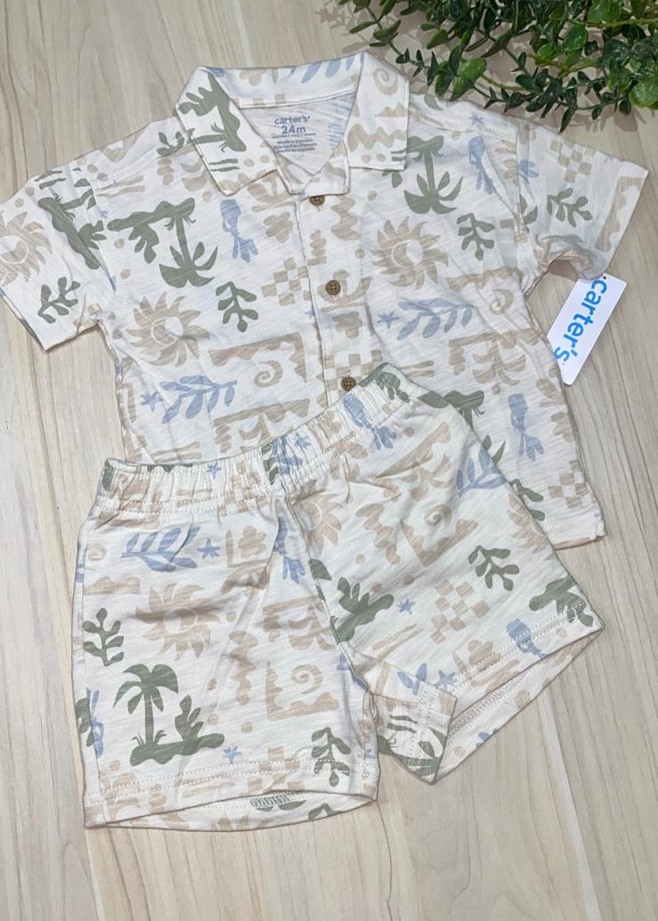 Conjunto Palmeritas