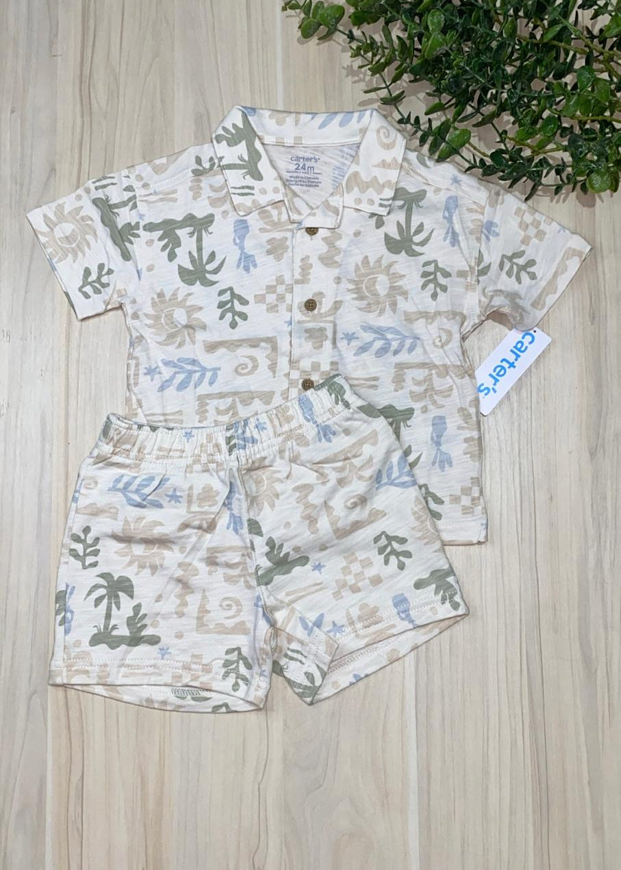 Conjunto Palmeritas